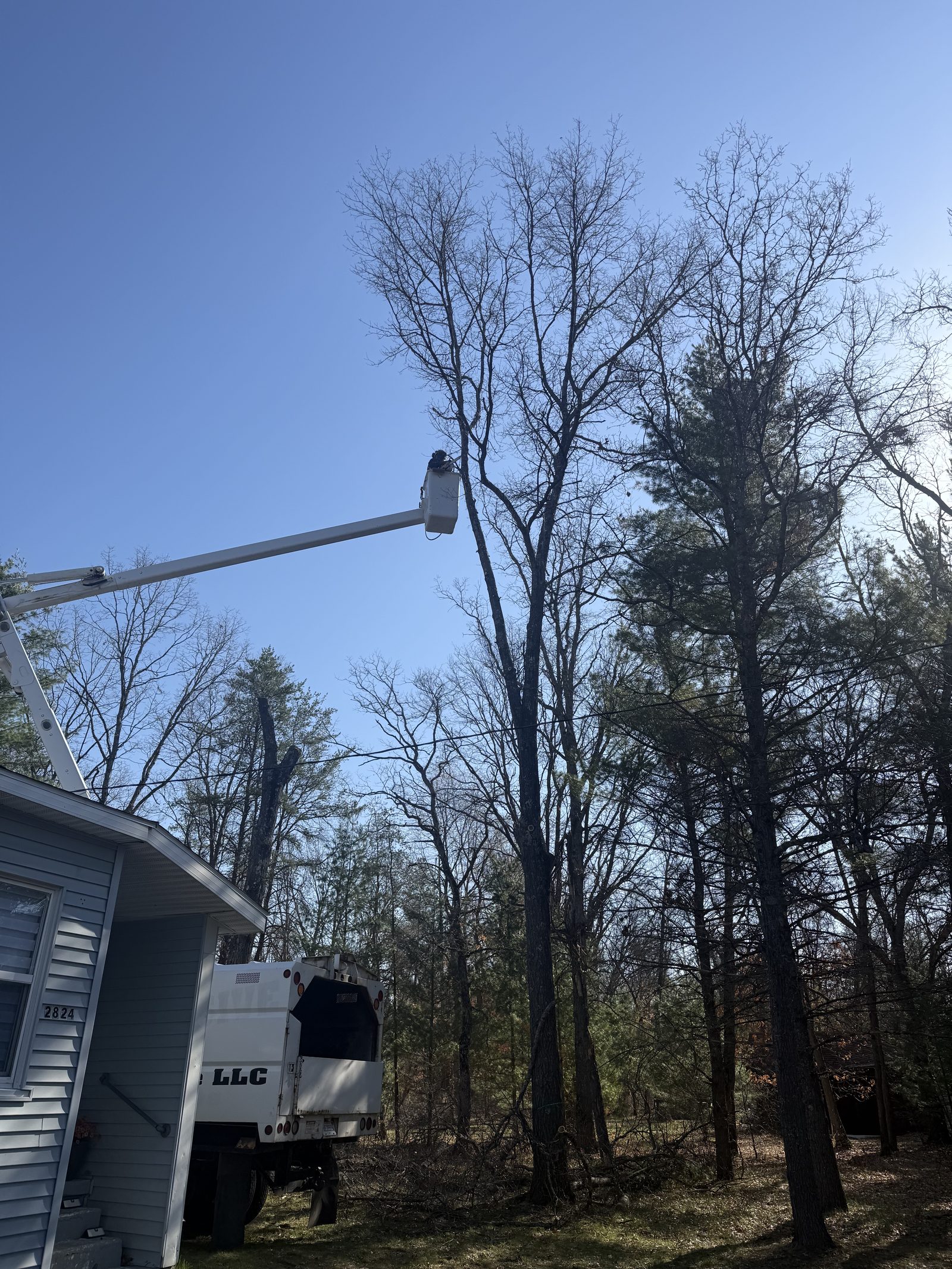 Bucket truck tree removal beside a home in West Michigan