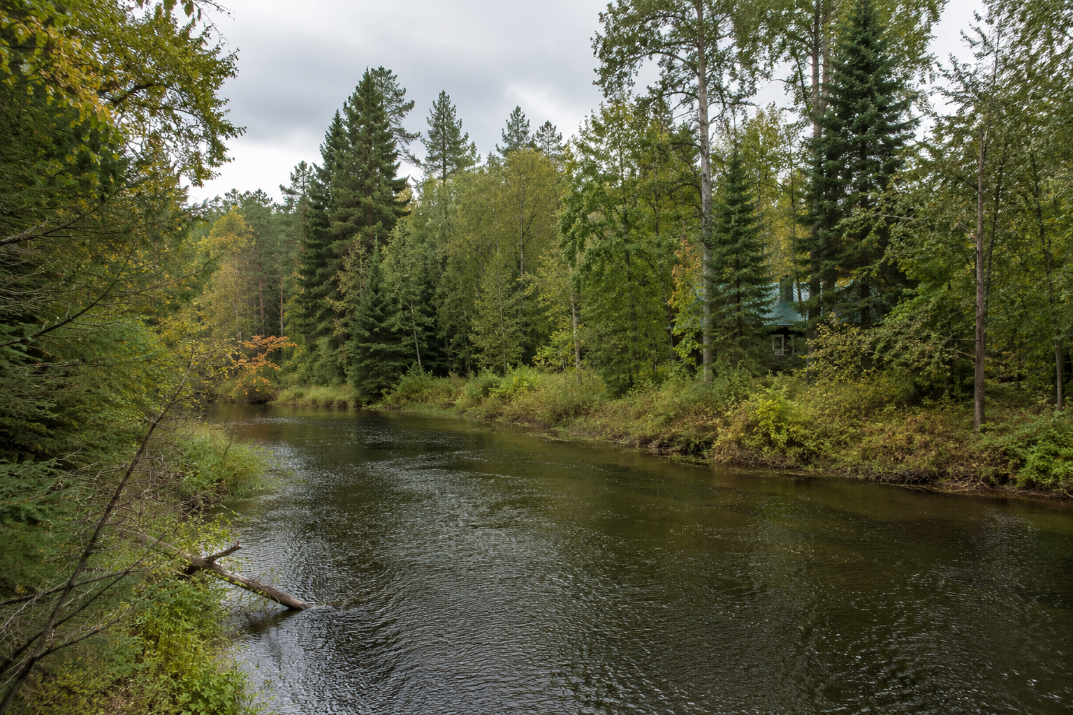 Newaygo river country: the Muskegon River curving through hardwood forest Newaygo river country: the Muskegon River curving through hardwood forest