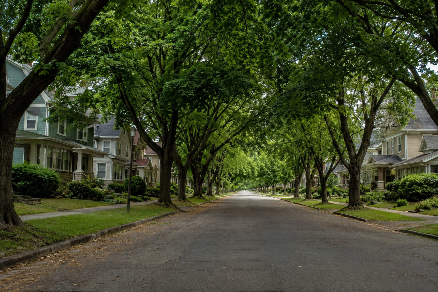 Grand Rapids urban canopy: mature maples arching over an older residential street Grand Rapids urban canopy: mature maples arching over an older residential street