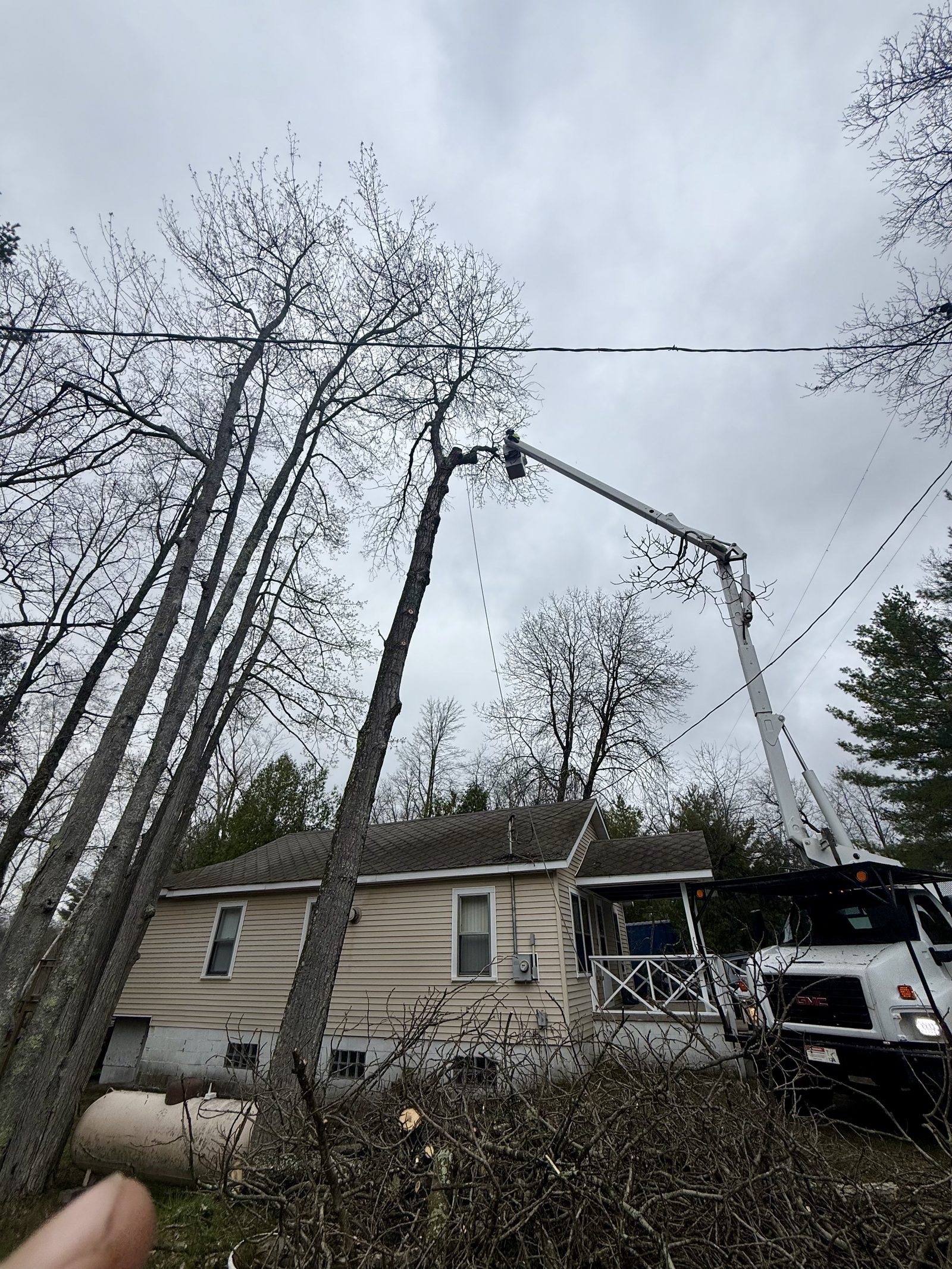 Bucket truck performing a residential tree removal