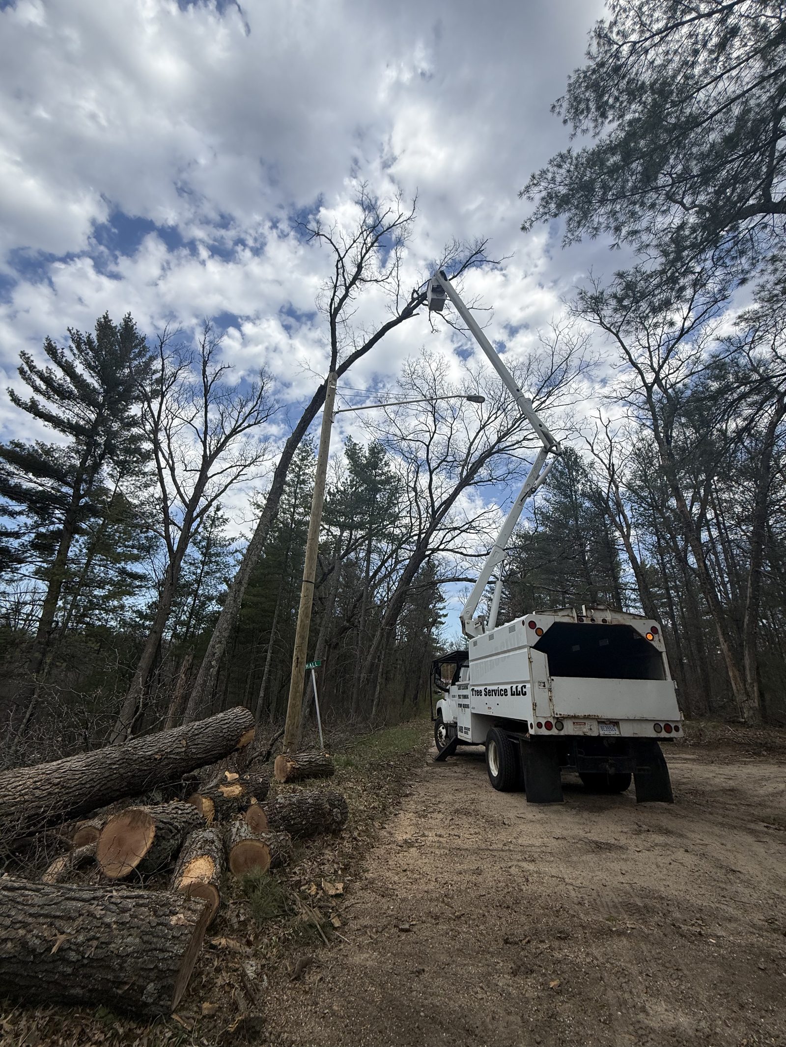 Tree removal cleanup with logs loaded for haul-away